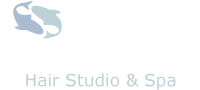 Ania Hair Studio & Spa Albany, NY Logo